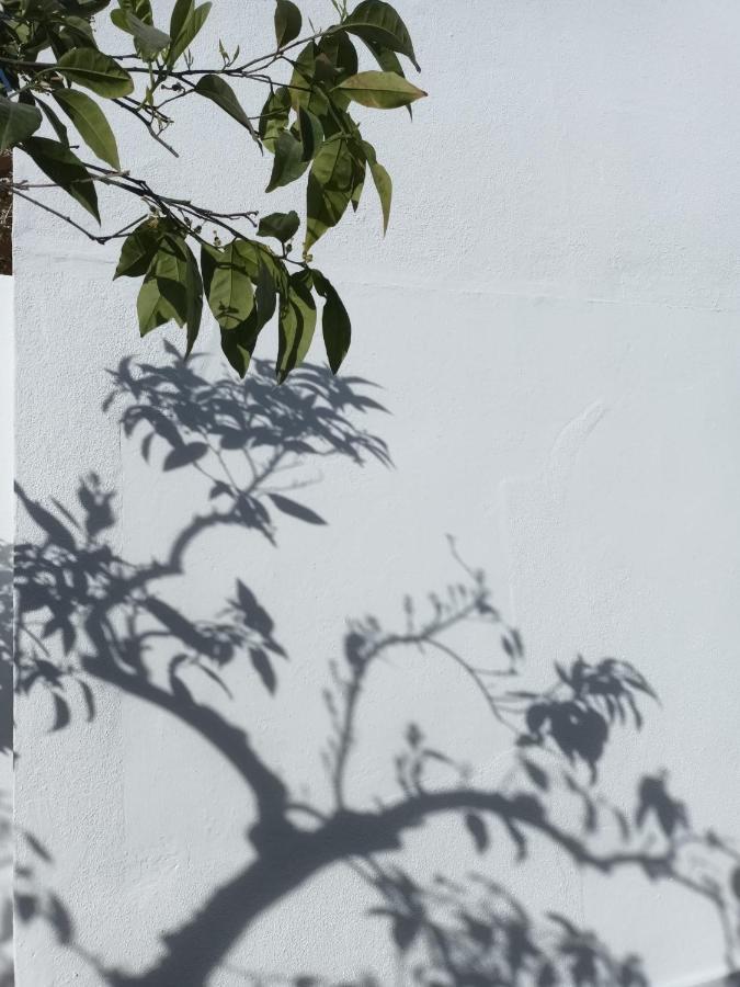 Casa Morais Pinto Apartman Reguengos de Monsaraz Kültér fotó